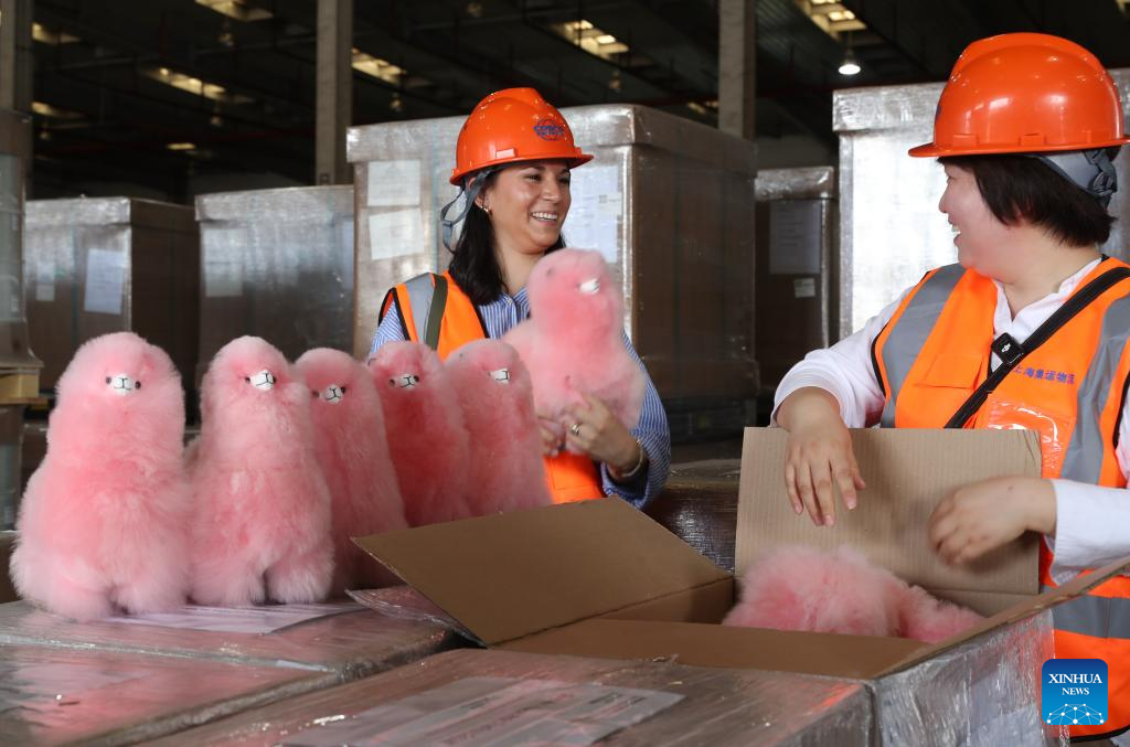 Warmpaca alpaca products for 7th CIIE arrive in Shanghai