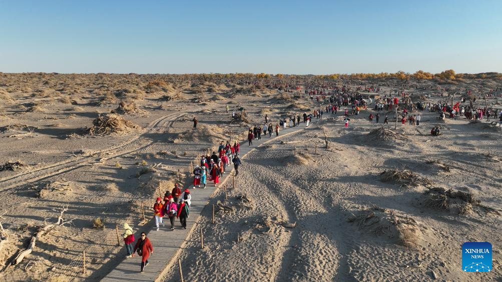 Autumn view of Ejina Banner of Alxa League, N China's Inner Mongolia