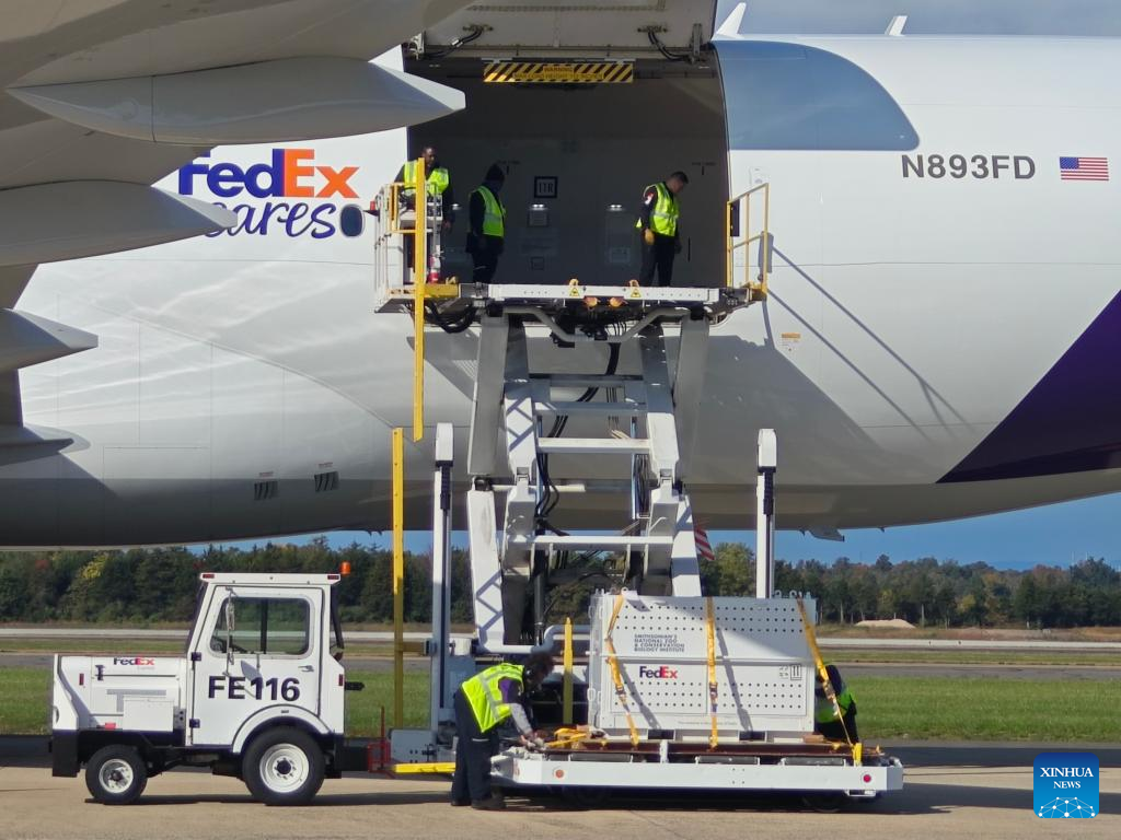 Two giant pandas from China arrive in Washington, D.C.