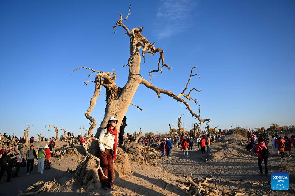 Autumn view of Ejina Banner of Alxa League, N China's Inner Mongolia