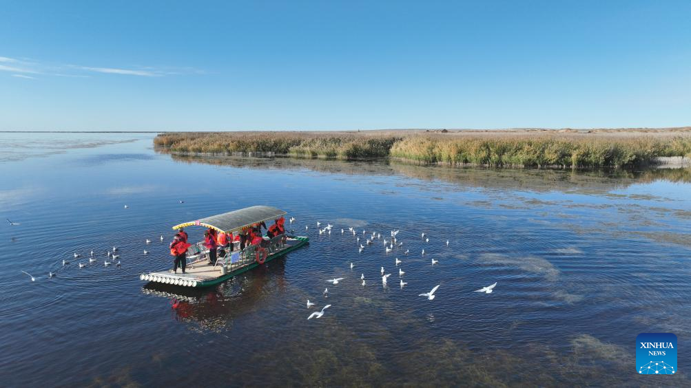 Autumn view of Ejina Banner of Alxa League, N China's Inner Mongolia