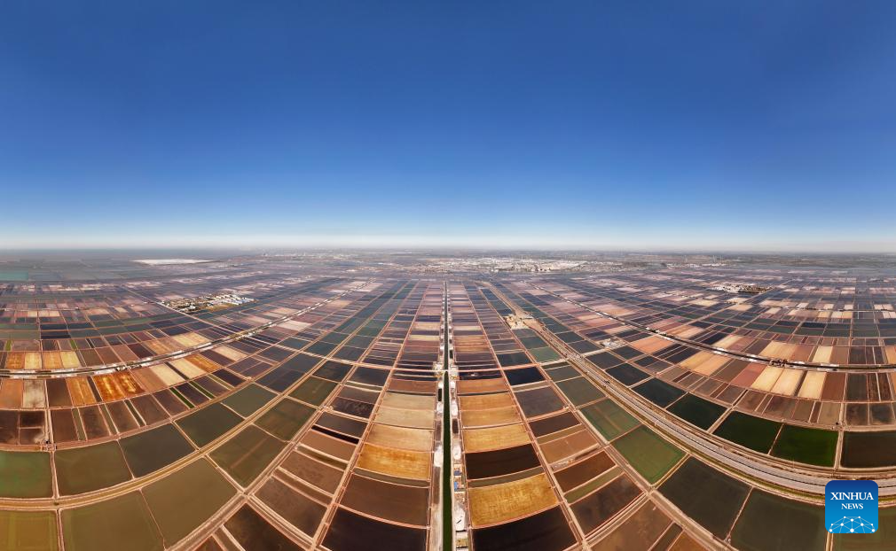 Salt harvested at Nanpu salt field in Tangshan, Hebei