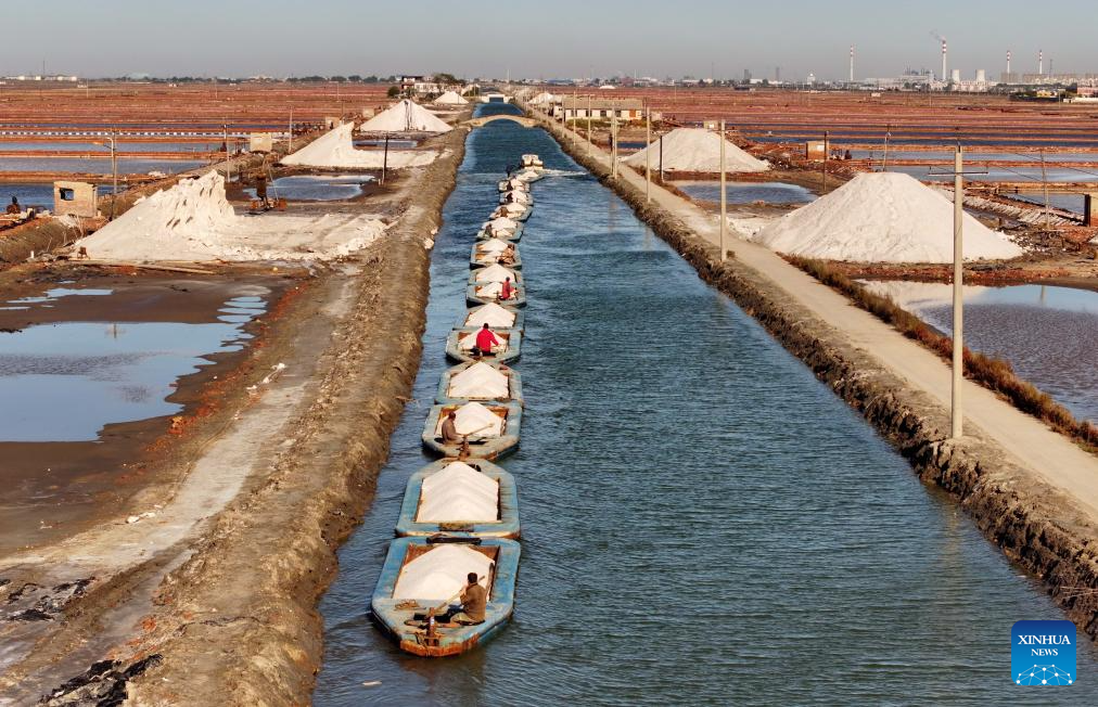 Salt harvested at Nanpu salt field in Tangshan, Hebei