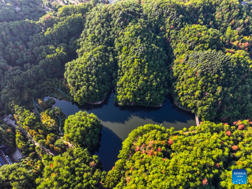 View of national nature reserve of Jinyun Mountain in Chongqing, SW China