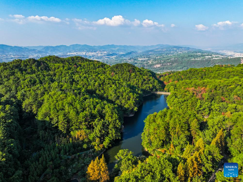 View of national nature reserve of Jinyun Mountain in Chongqing, SW China