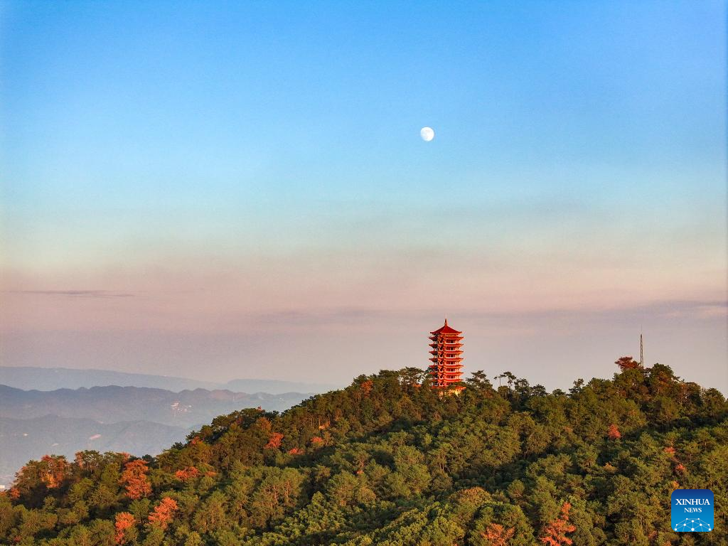 View of national nature reserve of Jinyun Mountain in Chongqing, SW China