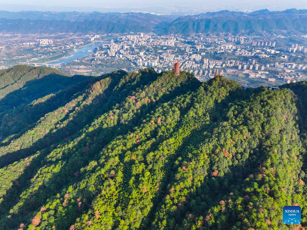 View of national nature reserve of Jinyun Mountain in Chongqing, SW China