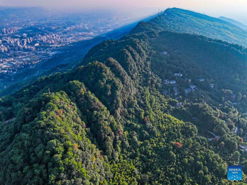 View of national nature reserve of Jinyun Mountain in Chongqing, SW China