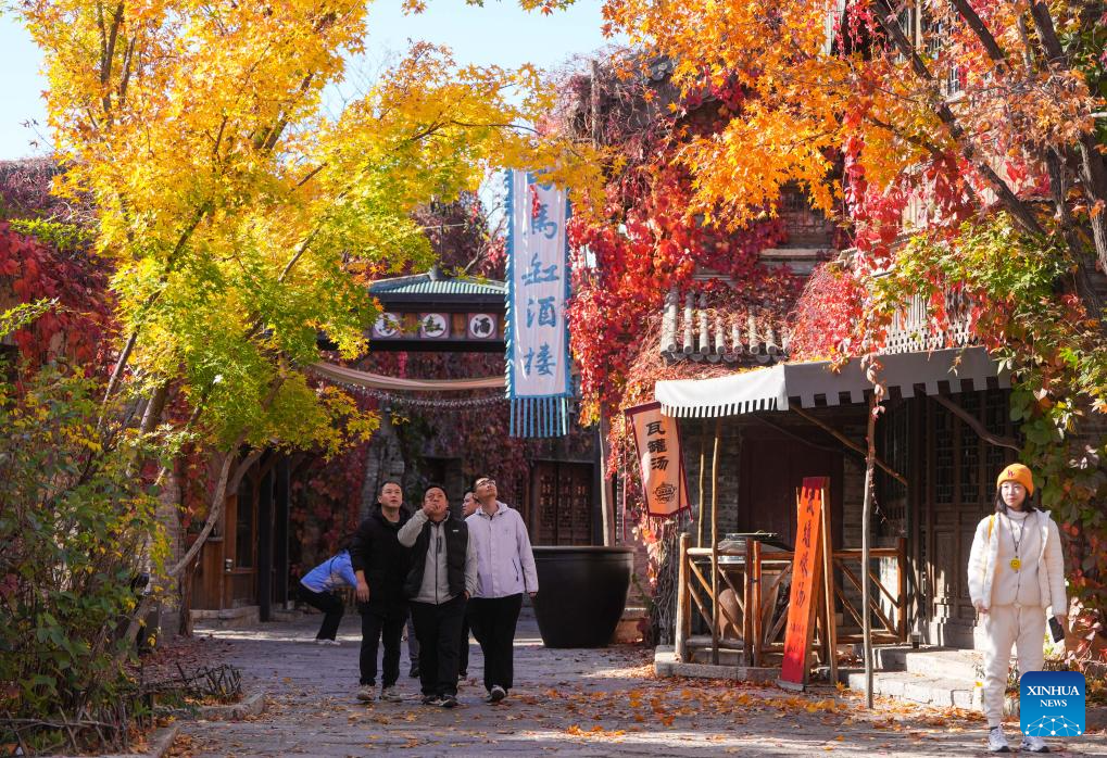 Autumn scenery in Beijing