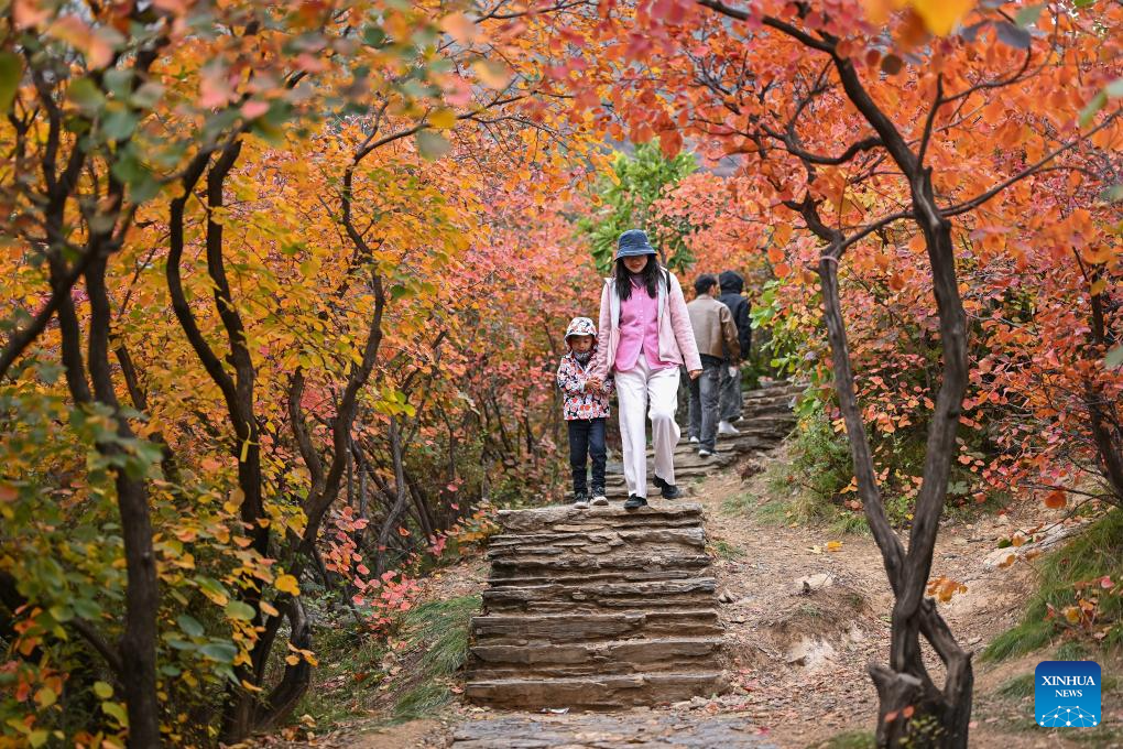 Autumn scenery in Beijing