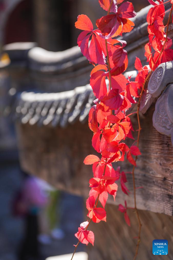 Autumn scenery in Beijing