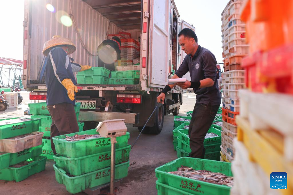 Fishermen busy unloading, processing seafood in harvest season in S China