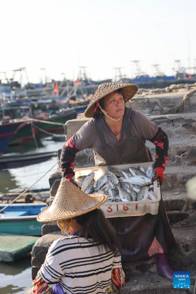 Fishermen busy unloading, processing seafood in harvest season in S China