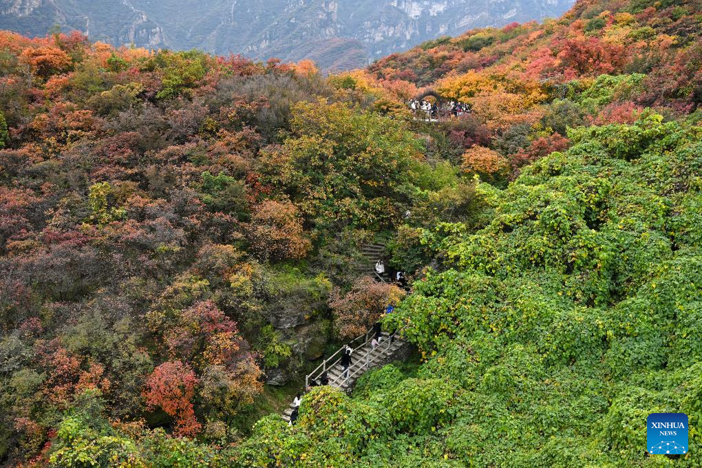 Autumn scenery in Beijing