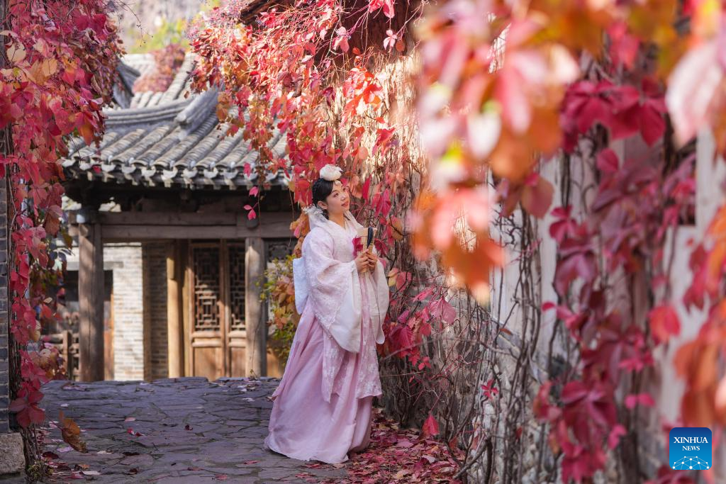 Autumn scenery in Beijing