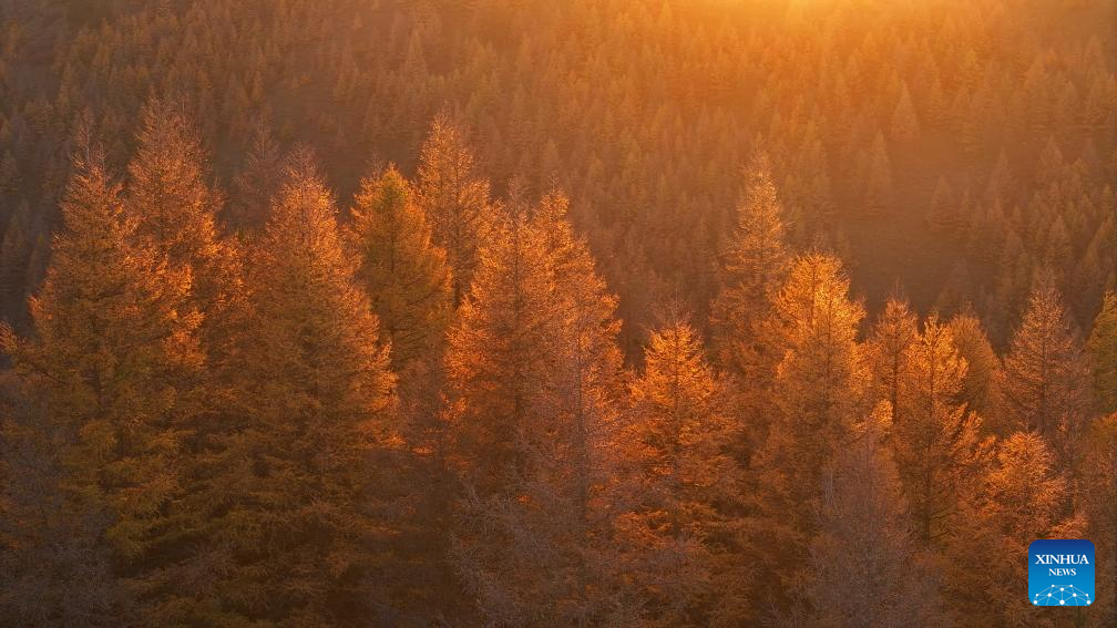 Autumn scenery across China