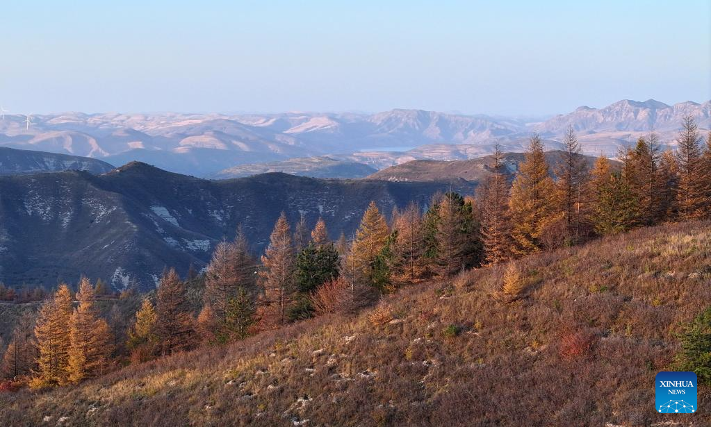 Autumn scenery across China