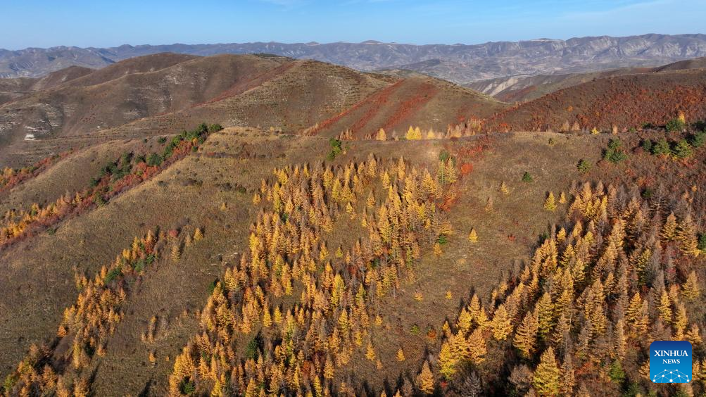 Autumn scenery across China