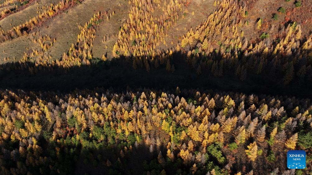 Autumn scenery across China