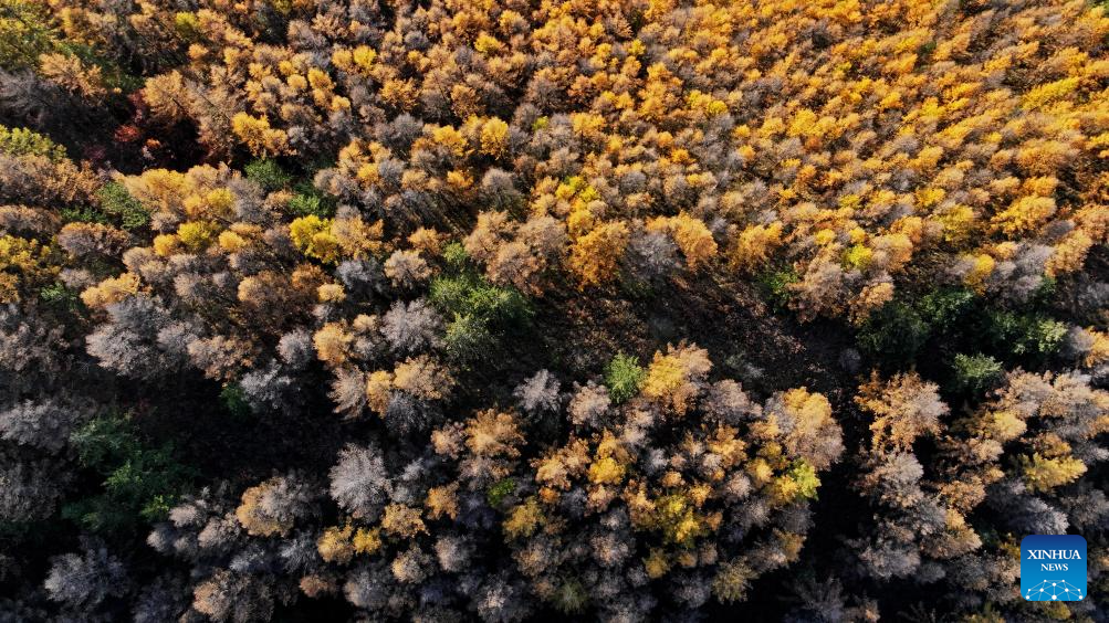 Autumn scenery across China