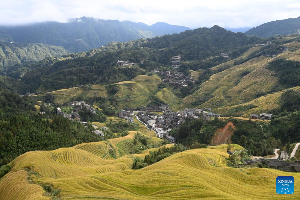 Scenery of Longji Rice Terraces in S China's Guangxi