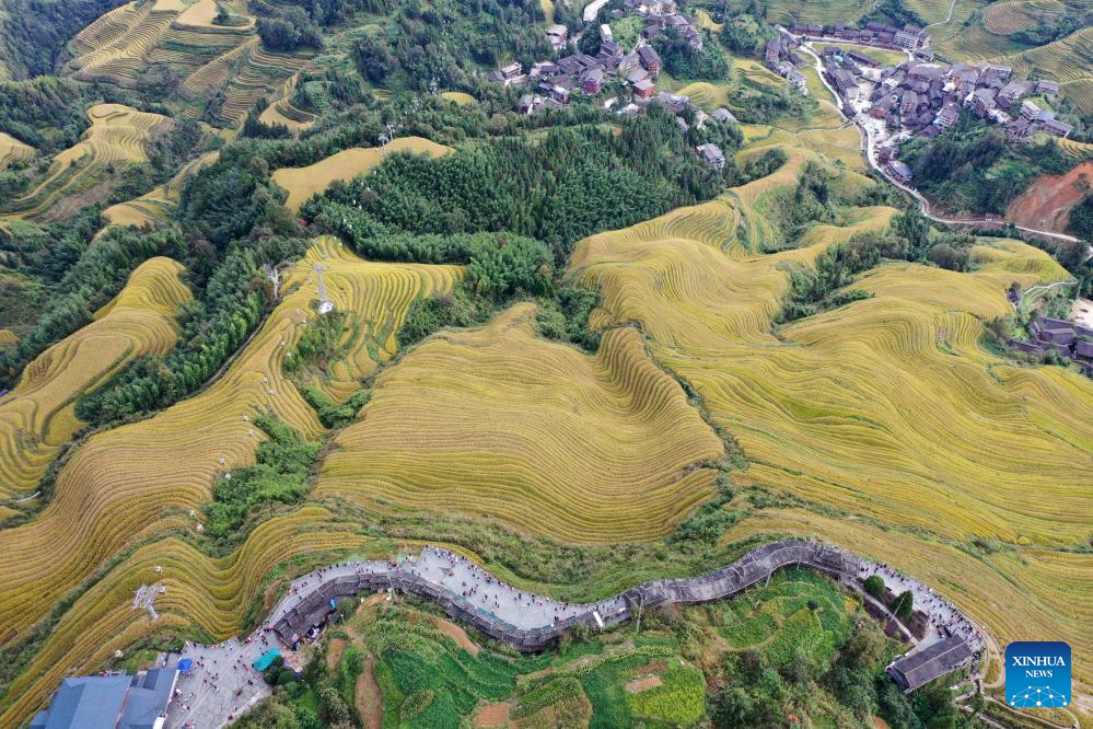 Scenery of Longji Rice Terraces in S China's Guangxi