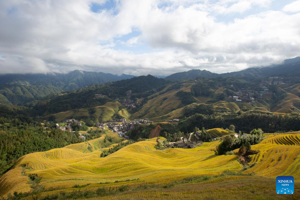 Scenery of Longji Rice Terraces in S China's Guangxi