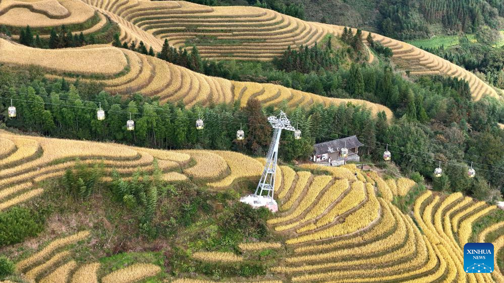 Scenery of Longji Rice Terraces in S China's Guangxi