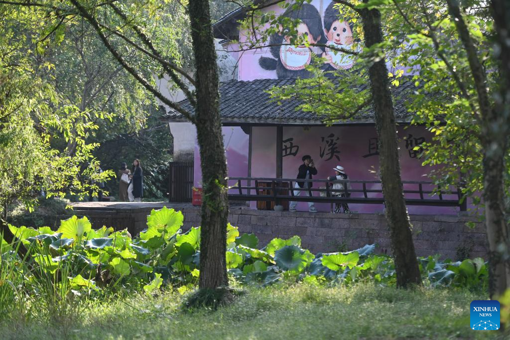 Wetland park in Hangzhou attracts tourists with beautiful autumn scenery