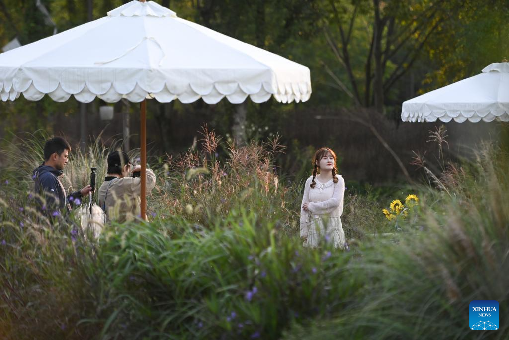 Wetland park in Hangzhou attracts tourists with beautiful autumn scenery