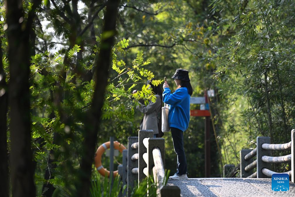 Wetland park in Hangzhou attracts tourists with beautiful autumn scenery