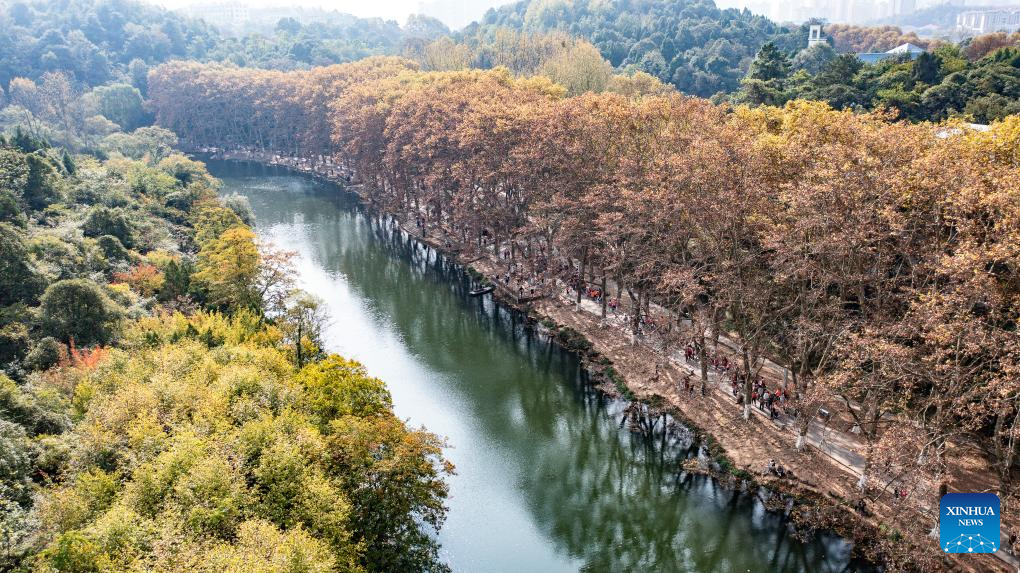 Autumn scenery of Huaxi National Urban Wetland Park in Guiyang, C China