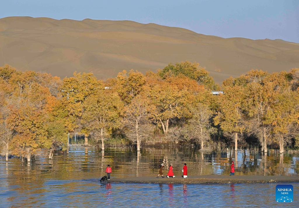 Autumn scenery attracts tourists in NW China's Xinjiang