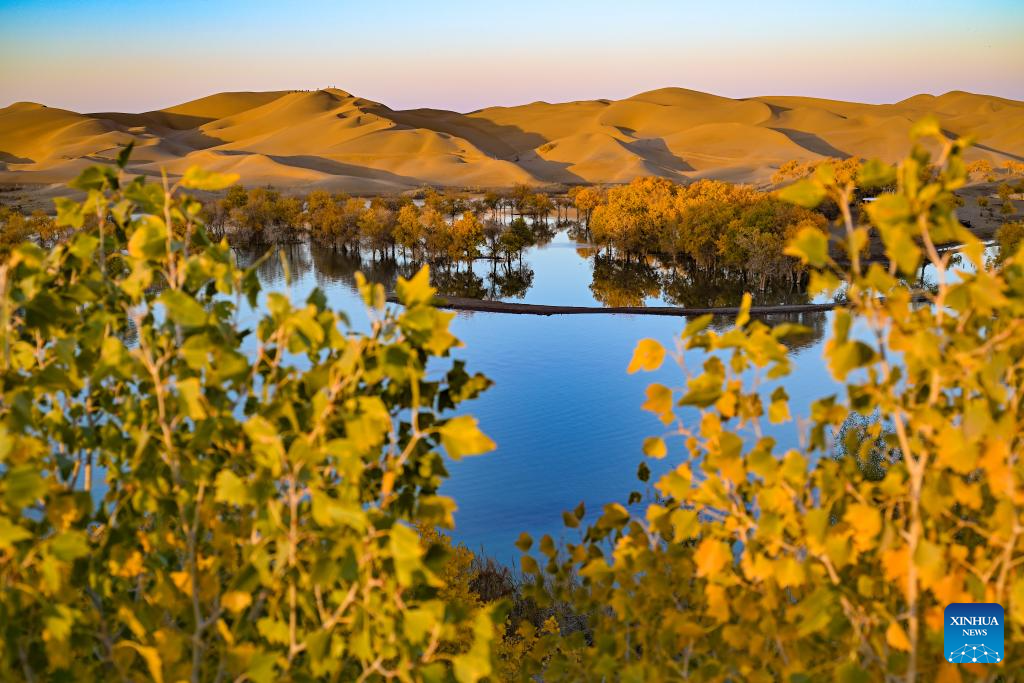 Autumn scenery attracts tourists in NW China's Xinjiang