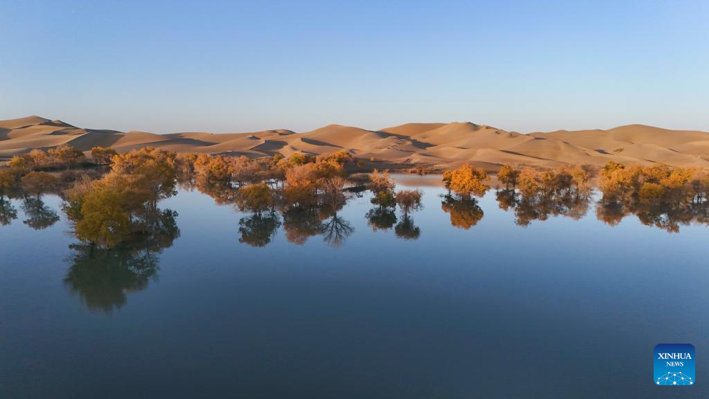 Autumn scenery attracts tourists in NW China's Xinjiang