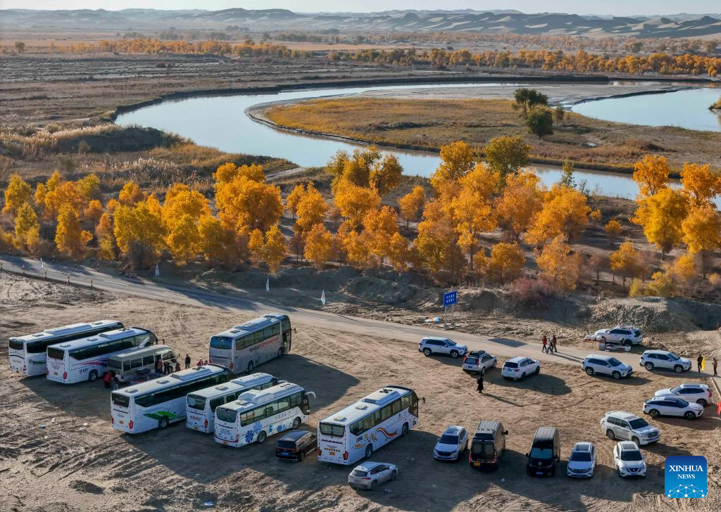 Autumn scenery attracts tourists in NW China's Xinjiang