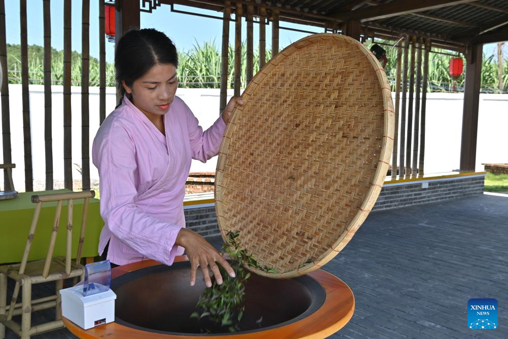 Pic story: inheritor of Gupa tea-making skills in China's Guangxi