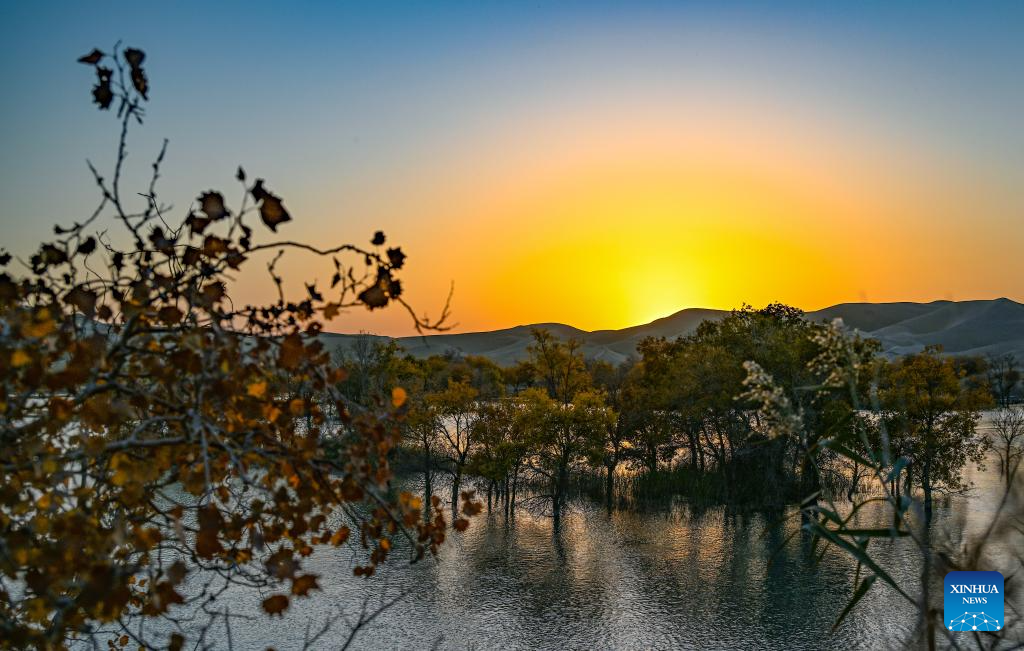 Autumn scenery attracts tourists in NW China's Xinjiang