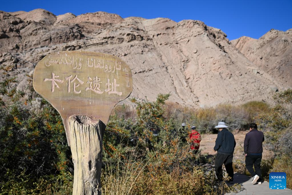 Multidisciplinary scientific expedition completed in Xinjiang