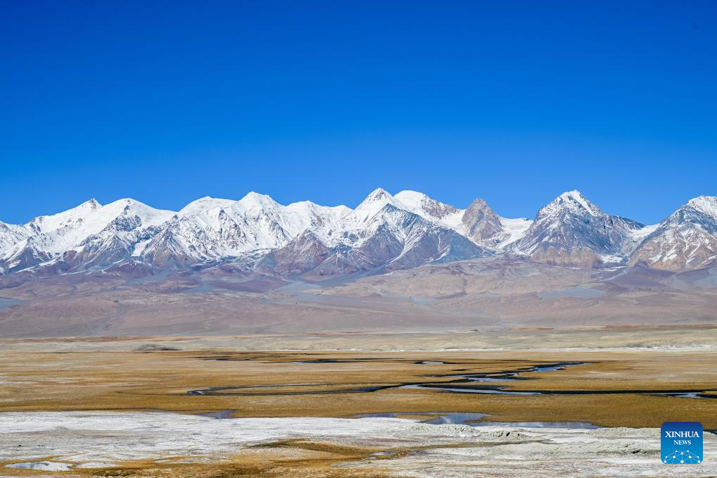 Multidisciplinary scientific expedition completed in Xinjiang