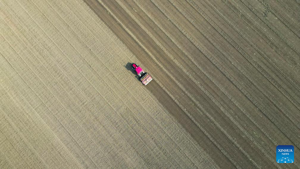 Farmers embrace harvest season across China