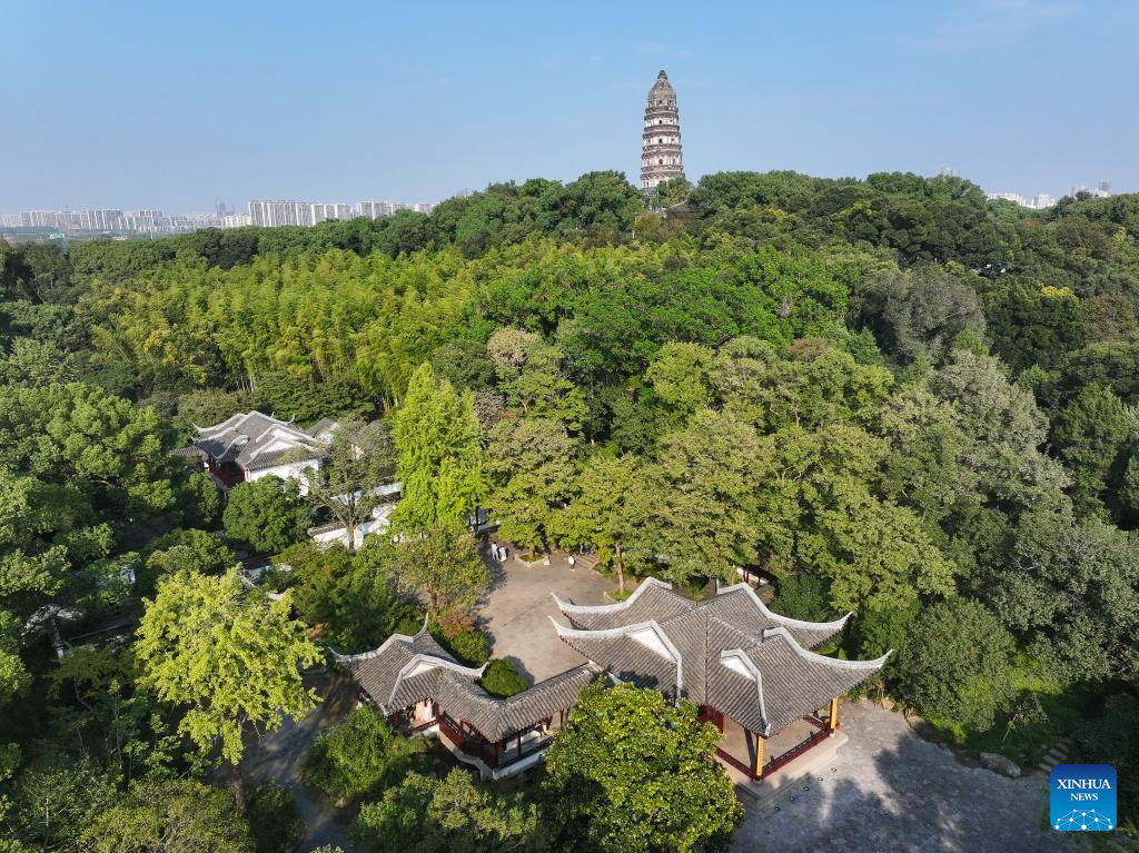 A glimpse of classical gardens in Suzhou, E China's Jiangsu