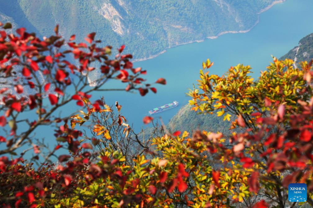 Charming autumn scenery across China