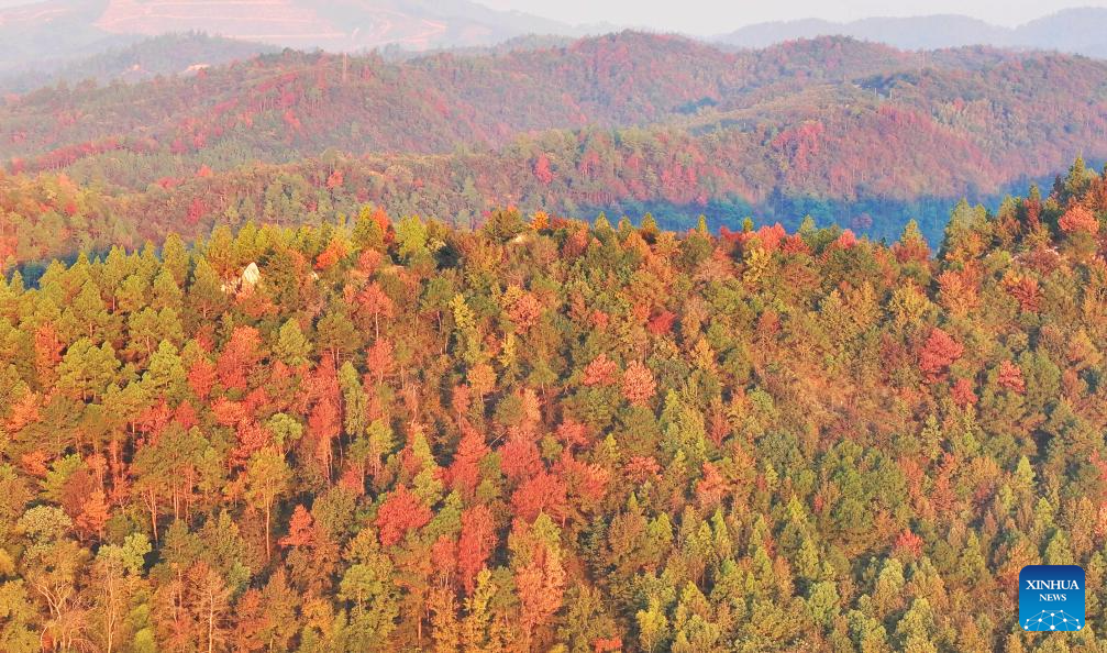 Charming autumn scenery across China