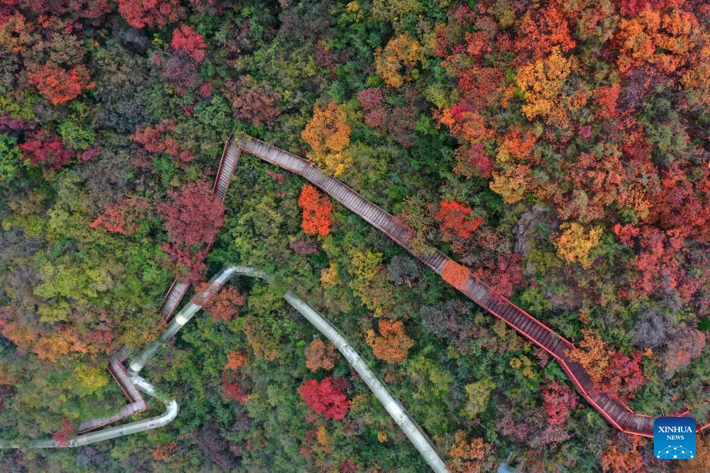 Charming autumn scenery across China