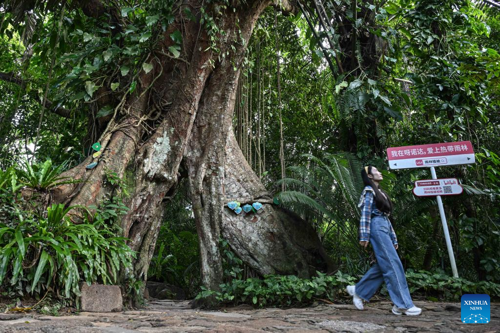 In pics: Yanoda Rain Forest Cultural Tourism Zone in Hainan