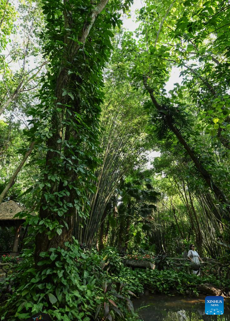 In pics: Yanoda Rain Forest Cultural Tourism Zone in Hainan