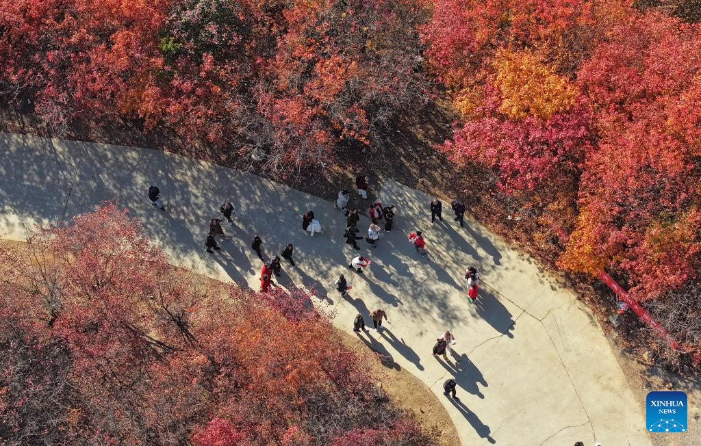 Autumn scenery in north China