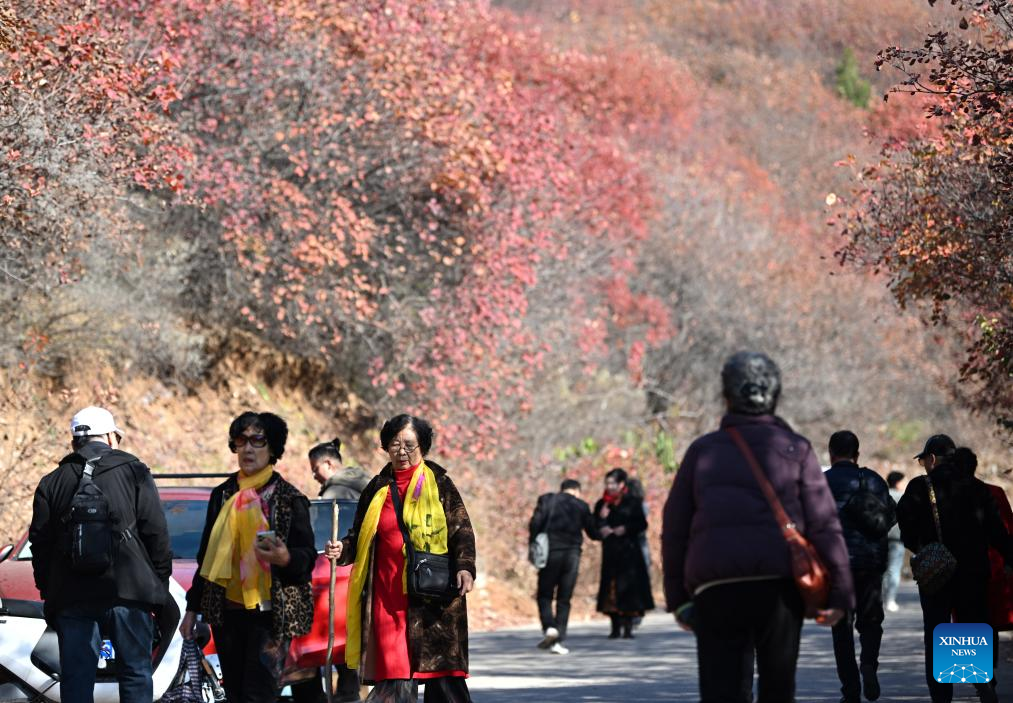 Autumn scenery in north China