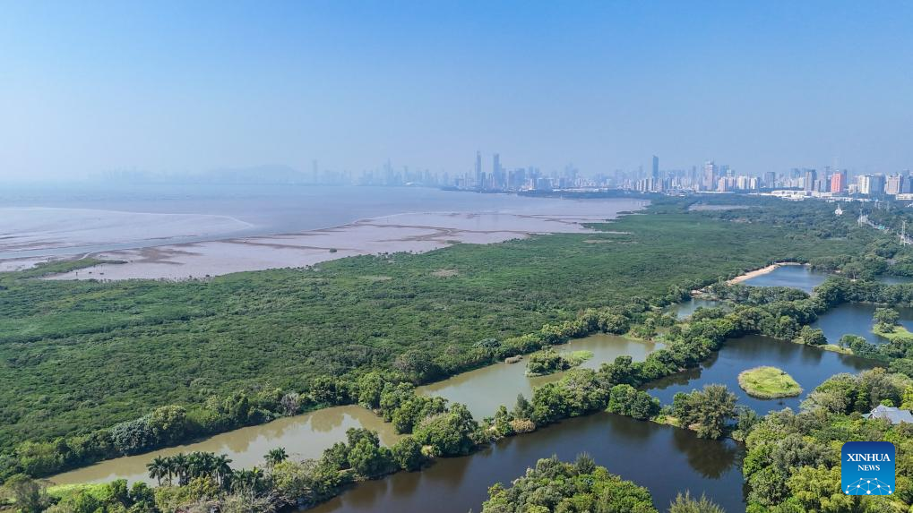 Agreement on establishing world's 1st international mangrove center signed in Shenzhen